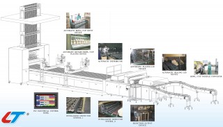 Schüssel-/Becherversiegelungsmaschine mit Servomotor