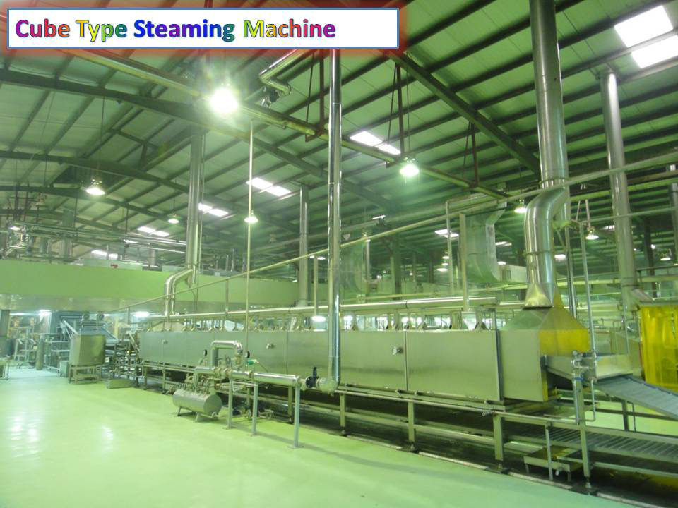 Cube Type Steaming Machine